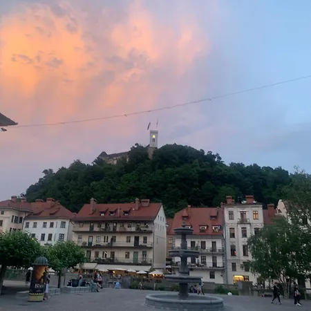 Ginkgo Ljubljana